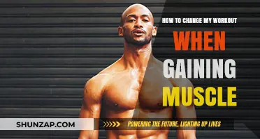 Effective Strategies to Adjust Your Workout for Muscle Gain