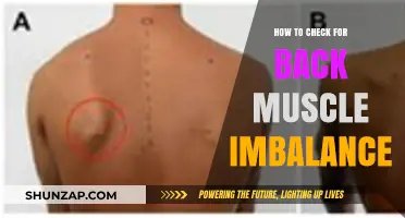 Assessing Back Muscle Imbalance: A Practical Guide for Optimal Health