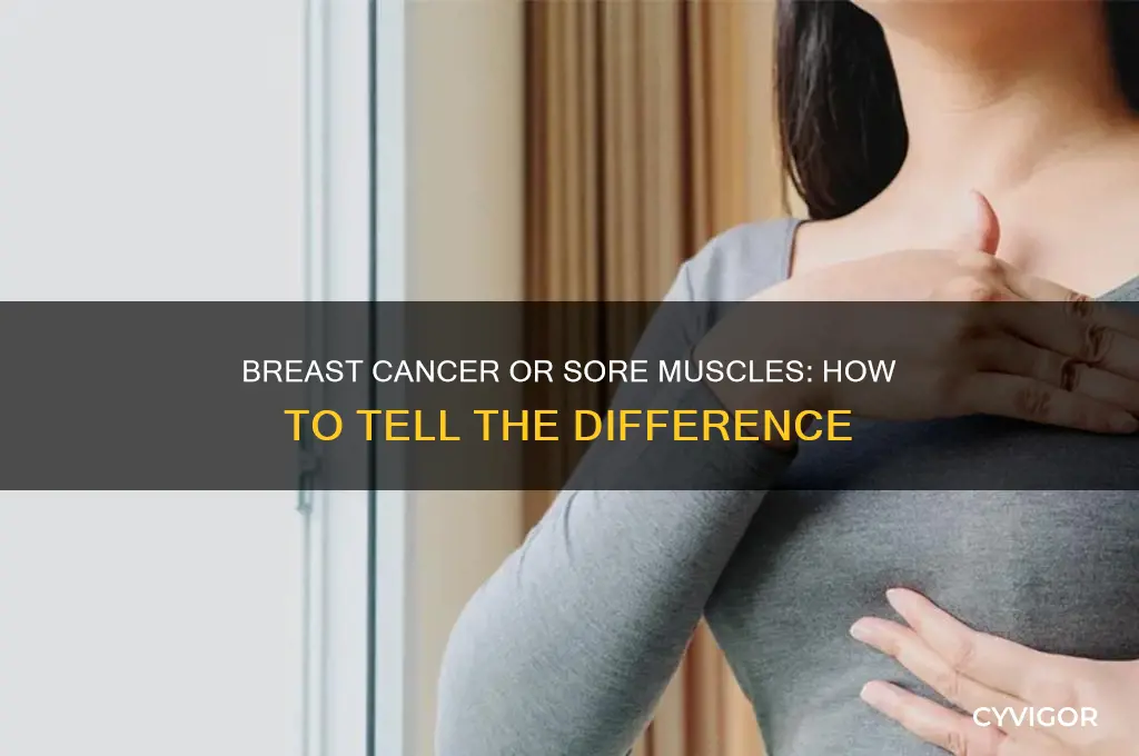 how to check for breast cancer versus sore muscles