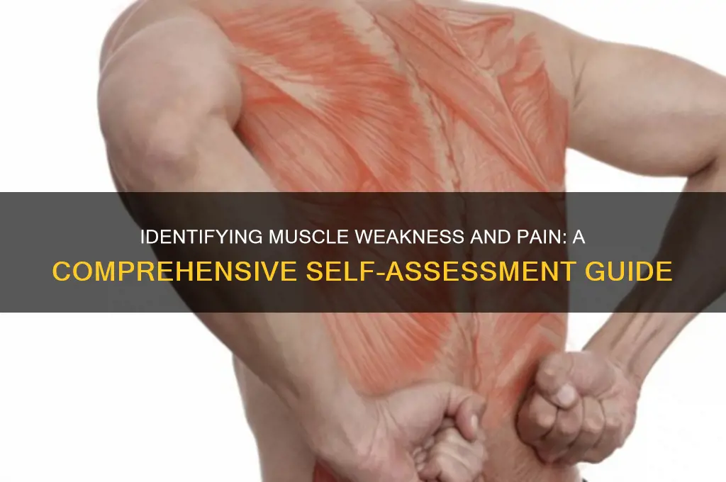 how to check for muscle weakness and pain