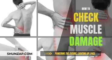 Assessing Muscle Damage: Effective Self-Checks and Professional Insights