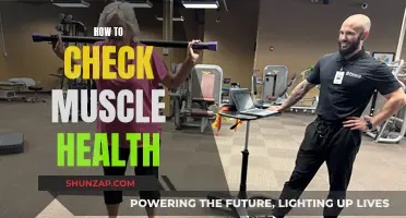 Monitoring Muscle Health: Simple Checks for Optimal Fitness