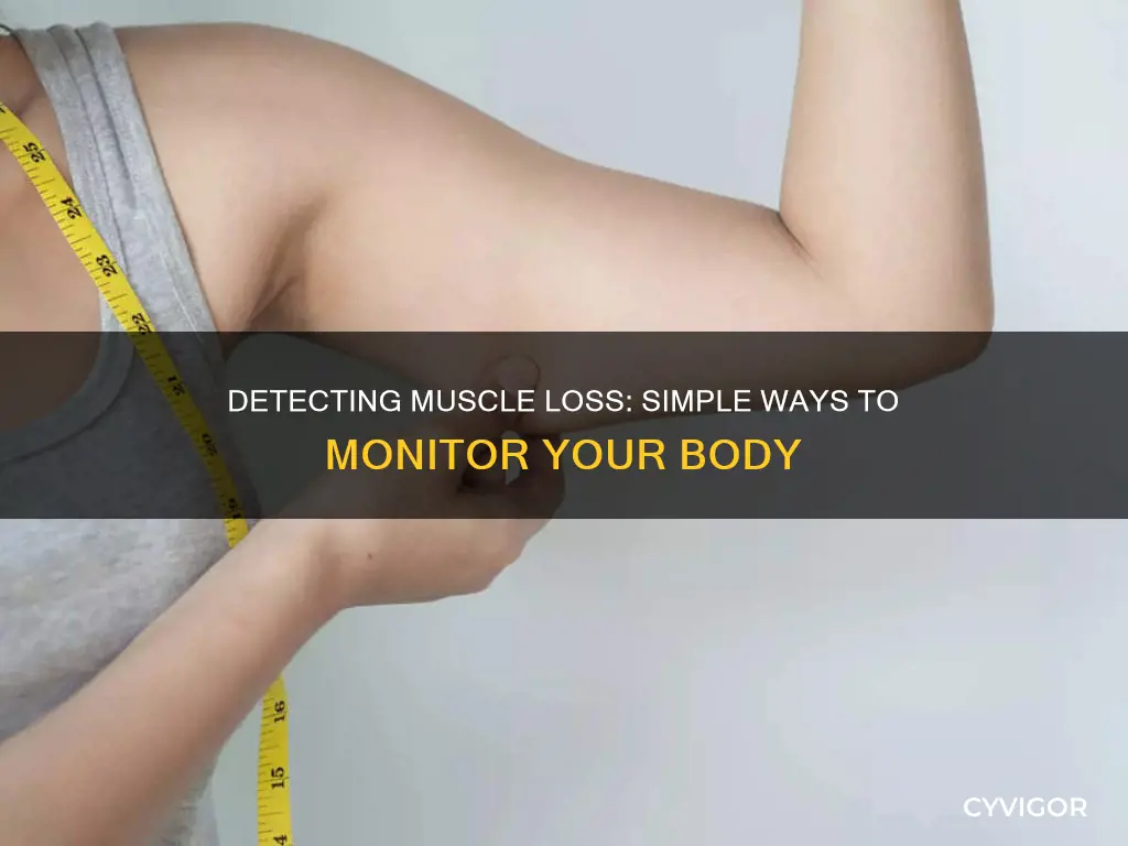 how to check muscle loss