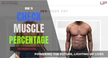 Assessing Muscle Percentage: Understanding Your Body's Composition
