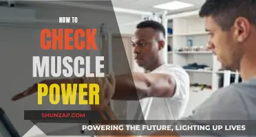 Assessing Muscle Power: Simple Tests to Try at Home