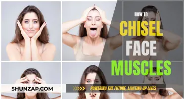 Chiseling Face Muscles: A Guide to Sculpting Your Jawline