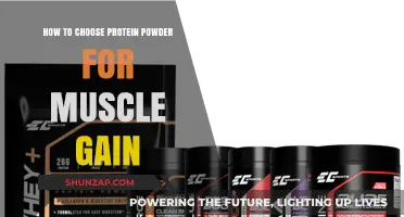 Best Protein Powder Guide: Maximize Muscle Gain Effectively