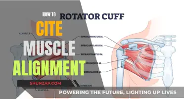 The Art of Muscle Alignment: Perfecting Your Posture and Form