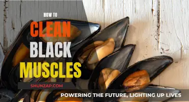 Effective Cleaning Methods for Black Mussels