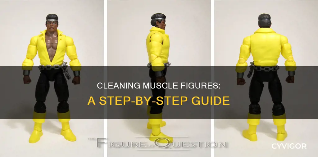 how to clean muscle figures