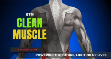 Mastering the Art of Cleaning Your Muscles