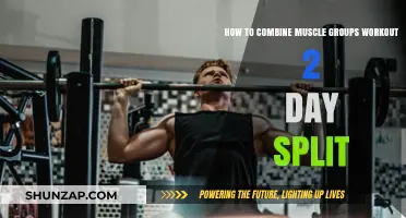 Effective 2-Day Split: Combining Muscle Groups for Optimal Workouts