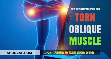 Comparing Torn Oblique Muscle Pain: Symptoms, Severity, and Recovery Tips