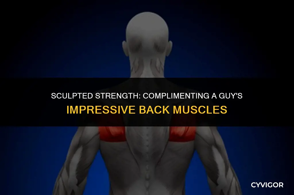 how to compliment a guys back muscles