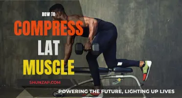 Strategies to Shrink Your Lat Muscle Size