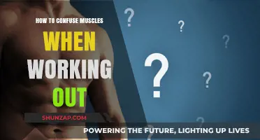 Master Muscle Confusion: Innovative Techniques to Boost Your Workout Results