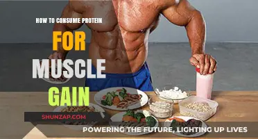 Maximize Muscle Growth: Smart Protein Consumption Strategies for Optimal Results