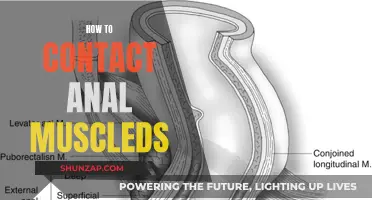Unlocking Anal Muscles: Techniques for Contact and Control