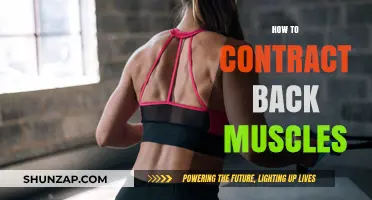 Strengthen Your Back: A Guide to Contracting Back Muscles Effectively