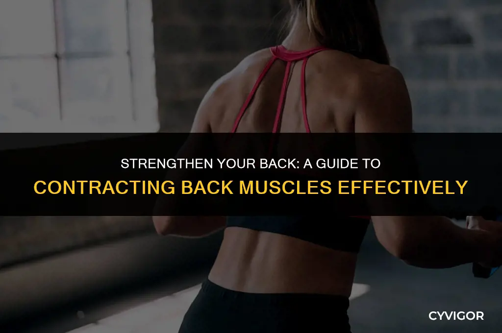 how to contract back muscles