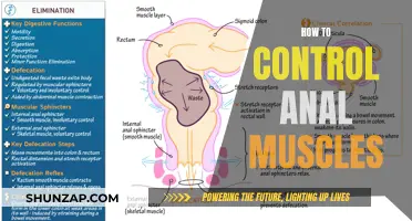 Anal Muscles Control: Techniques for Strength and Flexibility