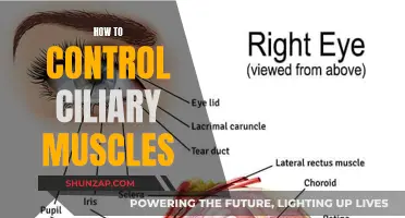 Mastering the Control of Ciliary Muscles: A Guide