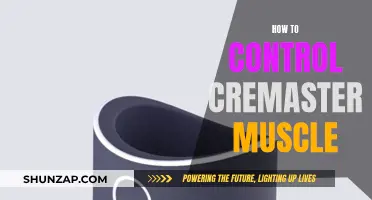 Controlling the Cremaster Muscle: Techniques for Men's Health