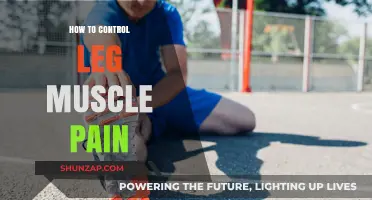 Effective Strategies to Relieve and Prevent Leg Muscle Pain
