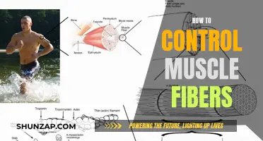 Controlling Muscle Fibers: The Ultimate Guide to Mastery