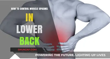 Mastering Muscle Spasms: A Guide to Lower Back Relief