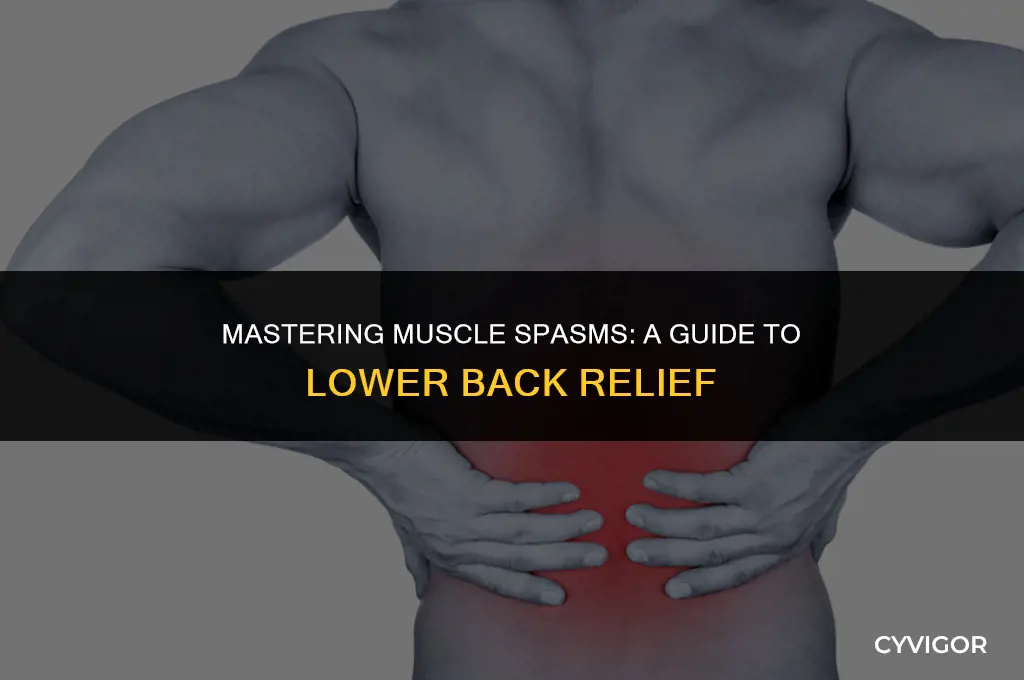 how to control muscle spasms in lower back