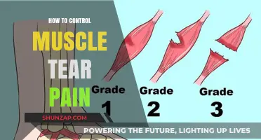 Effective Strategies to Manage and Relieve Muscle Tear Pain Quickly
