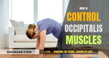 Managing Occipitalis Muscles: Techniques for Tension Relief