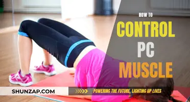 Mastering the PC Muscle: Techniques for Control and Strength