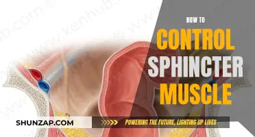 Controlling Your Sphincter Muscle: Tips and Tricks
