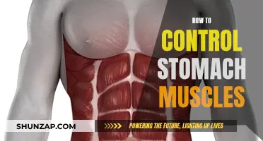 Stomach Muscle Control: Techniques for a Tighter Core