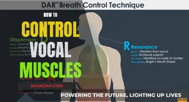 Mastering Vocal Muscle Control: Techniques for Singers
