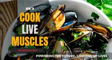Cooking Live Mussels: A Simple Guide to Deliciousness