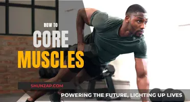 Developing Core Muscles: A Guide to Strengthening Your Core