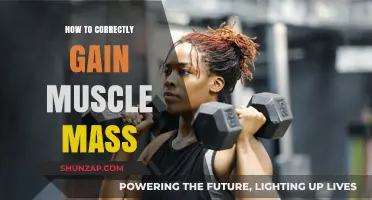 Effective Strategies for Building Muscle Mass the Right Way