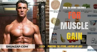 Calorie Counting for Muscle Gain: A Comprehensive Guide to Fueling Growth