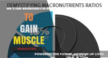 Free Muscle-Building Guide: Mastering Macronutrient Counting for Optimal Gains
