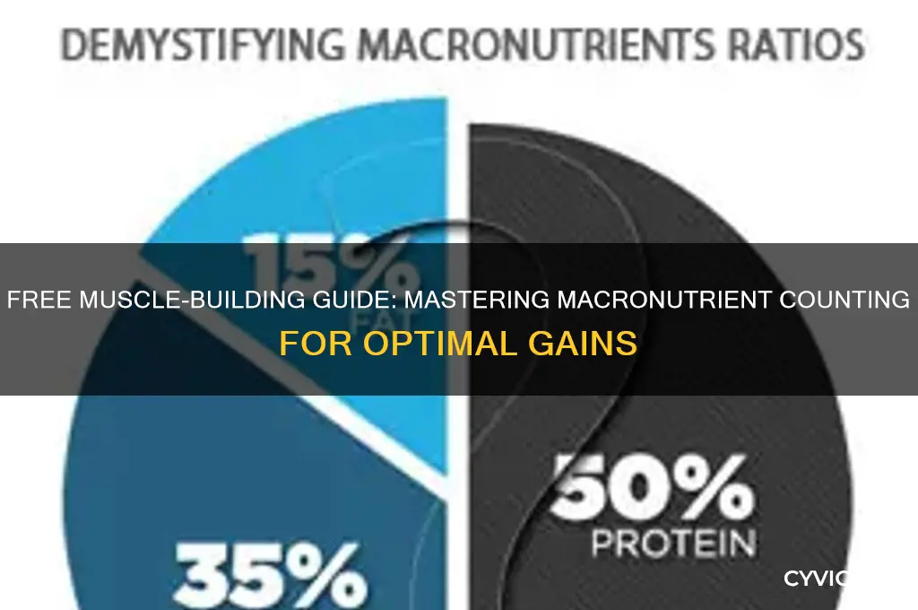 how to count macronutrients for free to gain muscle