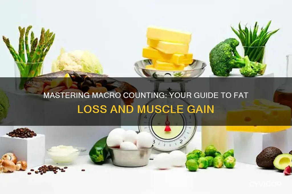 how to count macros for fat loss and muscle gain