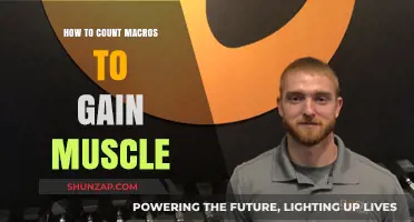 Mastering Macro Counting for Effective Muscle Gain and Growth