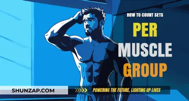 Effective Strategies for Tracking Sets per Muscle Group in Workouts