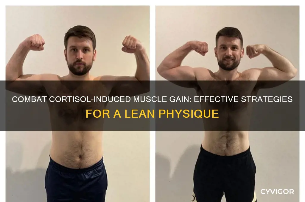 how to counter cortisol muscle gain
