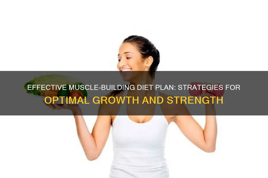 how to create a diet plan to gain muscle