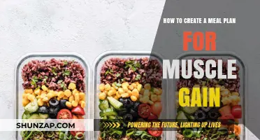 Fuel Your Gains: Crafting a Muscle-Building Meal Plan