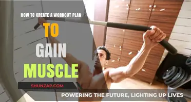 Effective Muscle-Building Workout Plan: Strategies for Strength and Size